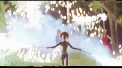 Les Bêtes du Sud sauvage