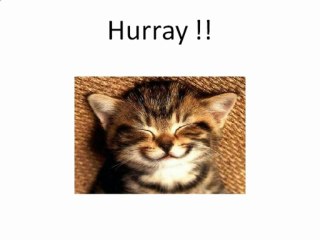 buy acnezine : buy 3 bottle get 3 bottle free