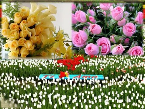 С Днём Рожденья!