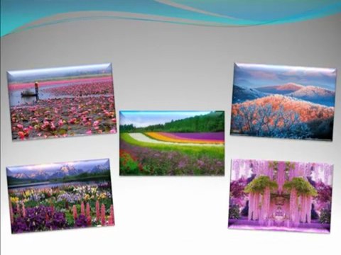 Красота спасет мир