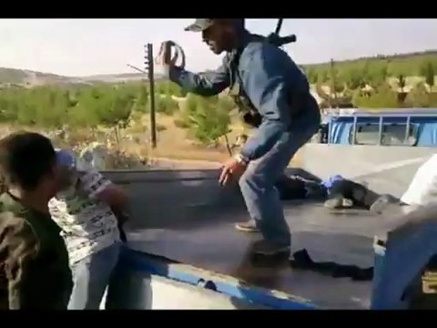 Syrie : le stop de Daniel Cohn-Bendit