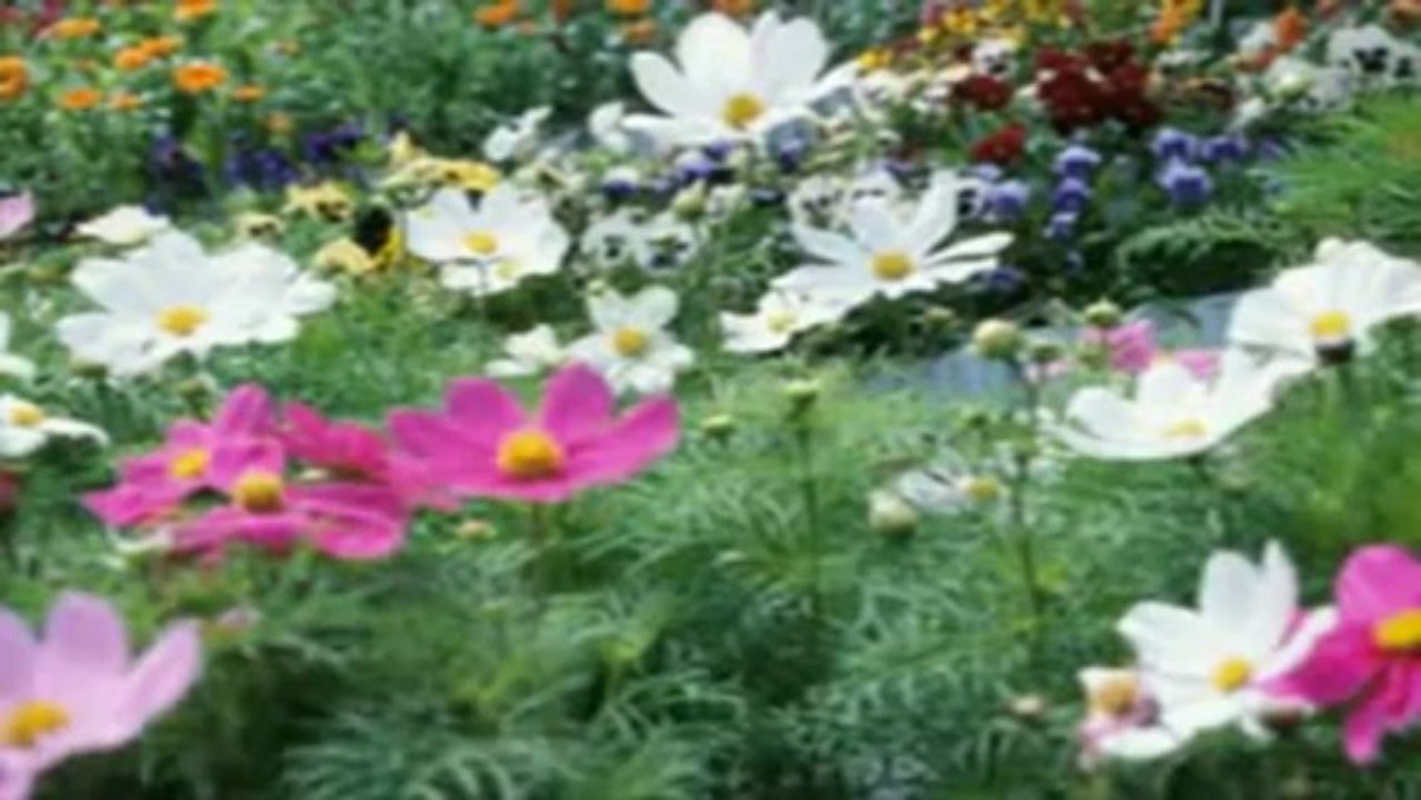 Como poder Saber si te amo - Leodan- Karaoke