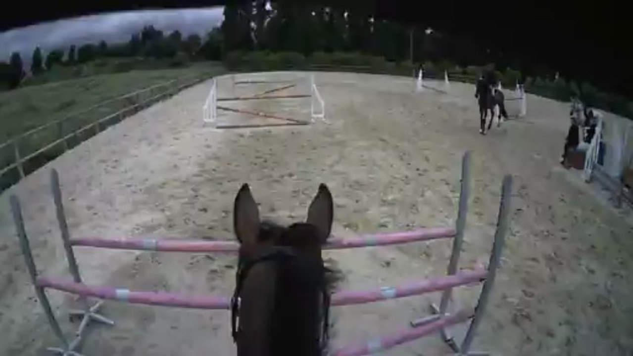 Fleur Essai Cambox Isis