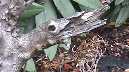 Cycle of Life: Student Film at SOU 🎥