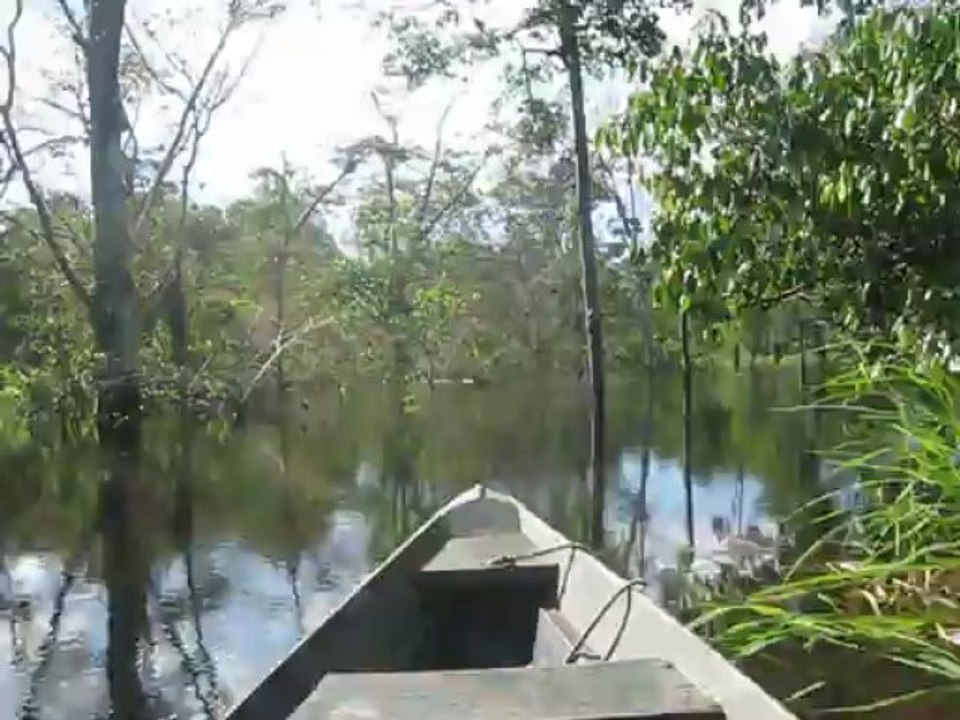 Amazonas Manaus