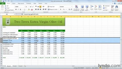 0205 Changing a worksheet's structure