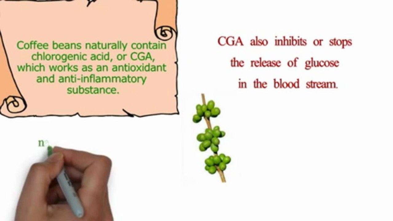 The Facts About Weight Loss And Green Coffee Bean Extract