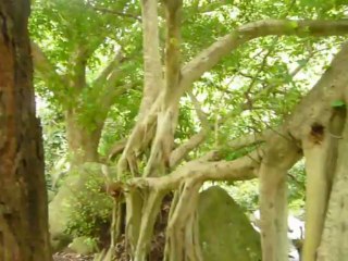 MAUI, HAWAII 2013 076