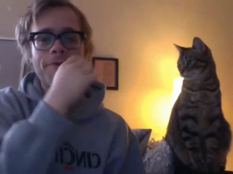 Man and cat perform some interspecies bonding