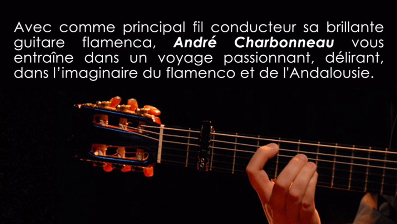 OLE !  ANDRE CHARBONNEAU Spectacle Flamenco Andalousie interactif