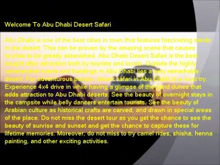 Abu Dhabi Desert Safari