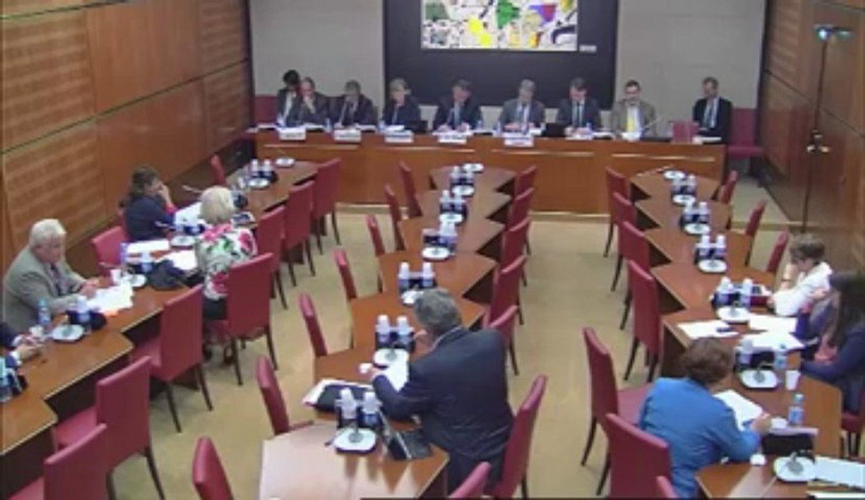 Intervention d'Hervé FERON en Commission des Affaires Culturelles et de l'Education sur le rapport relatif à l'application du fair-play financier aux clubs de football professionnel