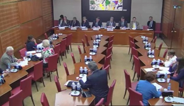 Intervention d'Hervé FERON en Commission des Affaires Culturelles et de l'Education sur le rapport relatif à l'application du fair-play financier aux clubs de football professionnel