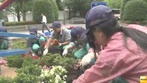 20130702　宮城県農業高校生徒ら、県庁舎の花時計を植え替え(宮城)