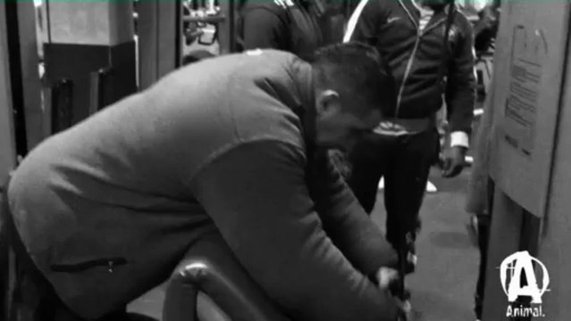 Future Mr Olympia Bodybuilding .Ifbb Pro Animal Momo