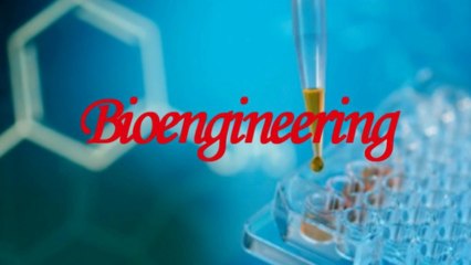 Types Of Engineering Degrees