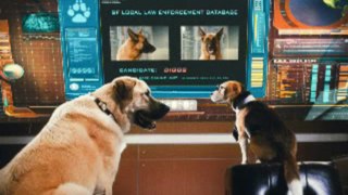 Cats & Dogs The Revenge of Kitty Galore (2010) Full Movie Part 1