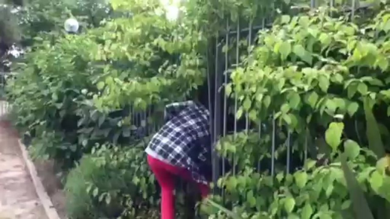 Un imprévu dans les vacances