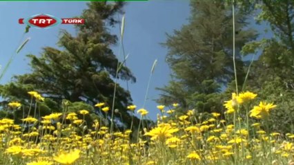 Zor Yollar 89.Bölüm