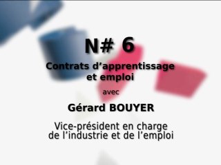 Contrats d'apprentissage et emploi