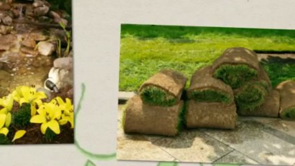 Sebastian Martin Lawn Svc Llc (239) 910-5490