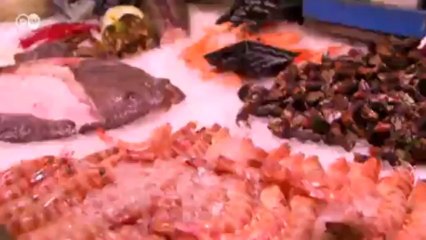 سلسلة أوروبا 28: لقاء في مدريد ضمن فقرة أوروبا28 | يوروماكس