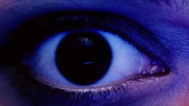 Exsonvaldes - Seahorses