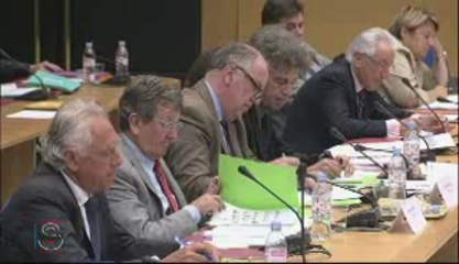 Présentation M. Fabrice ARFI (-MÉDIAPART-) Commission d'enquête sur le rôle des banques... Part1