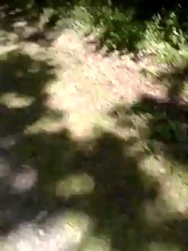 1ère sortie vélo avec Alaska