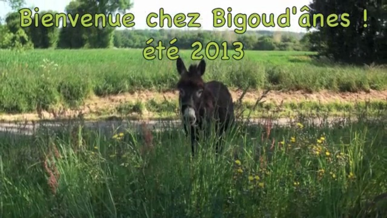 Bigoudane été 2013