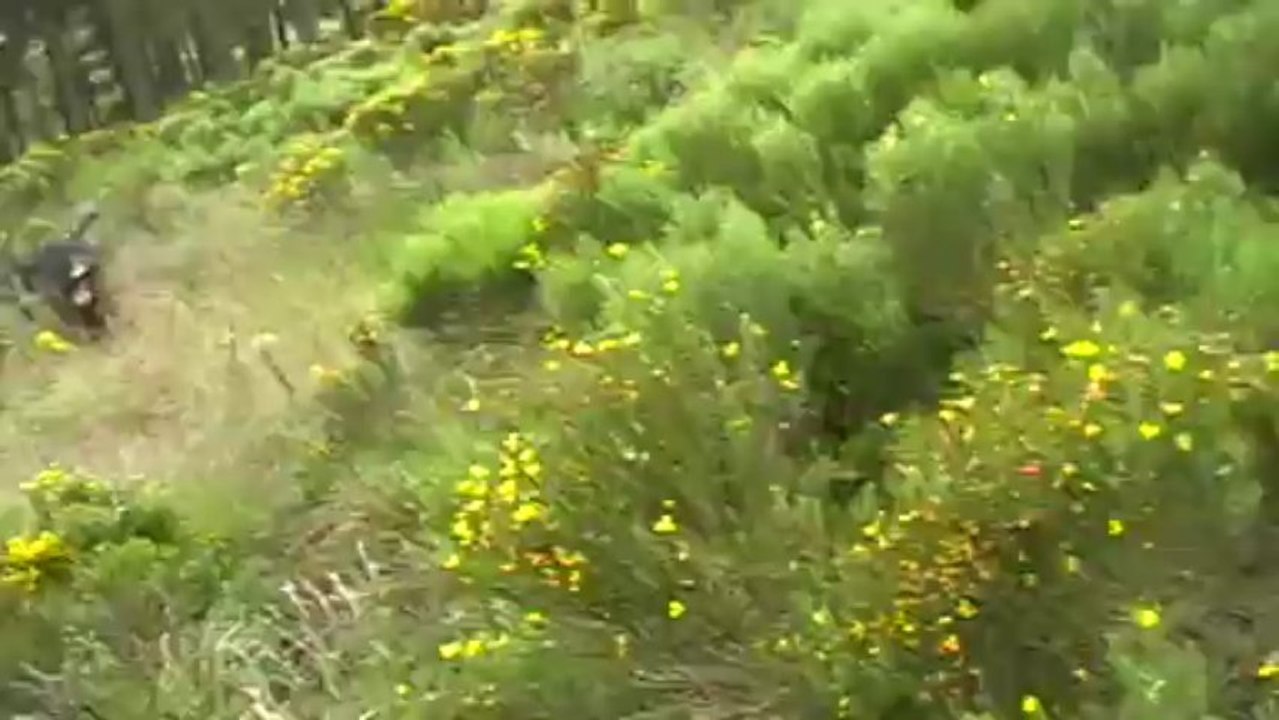 entrainement des jeunes 04 07 2013