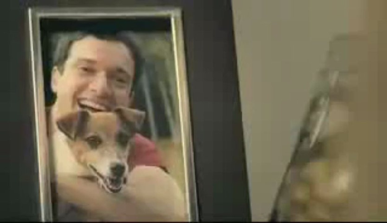 Campanha Doação de Órgãos