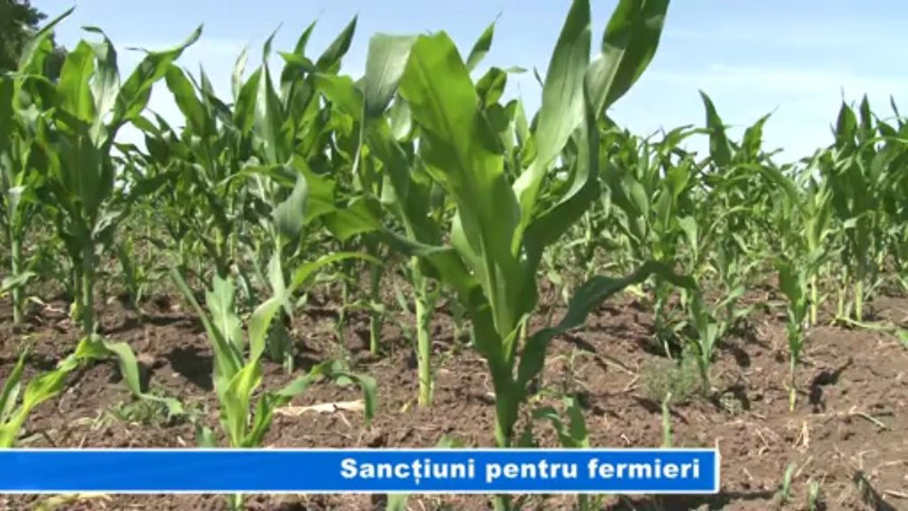 SANCTIUNI PENTRU FERMIERI
