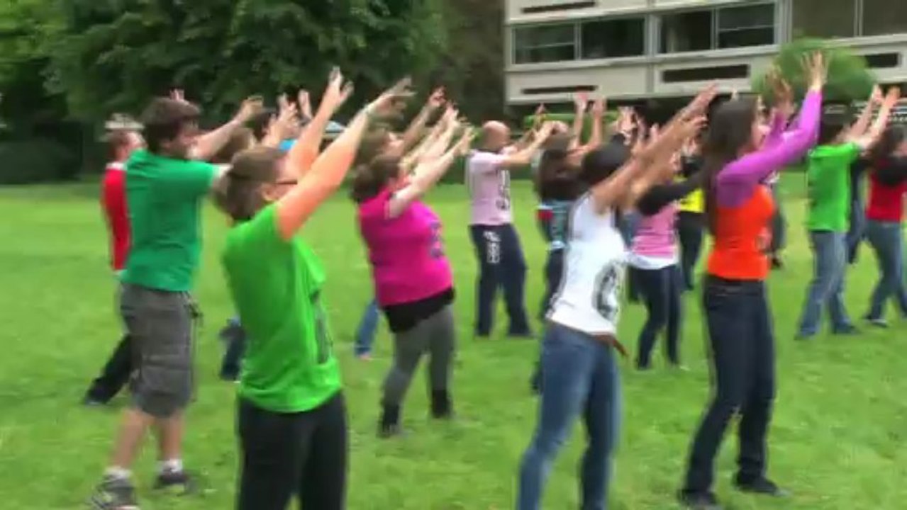Teaser BDB 2013
