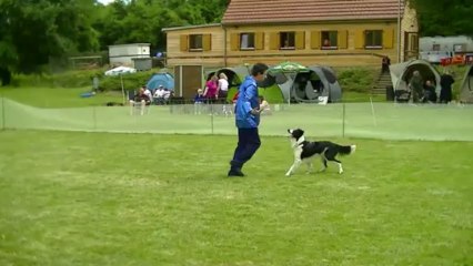 Concours Giby Obernai