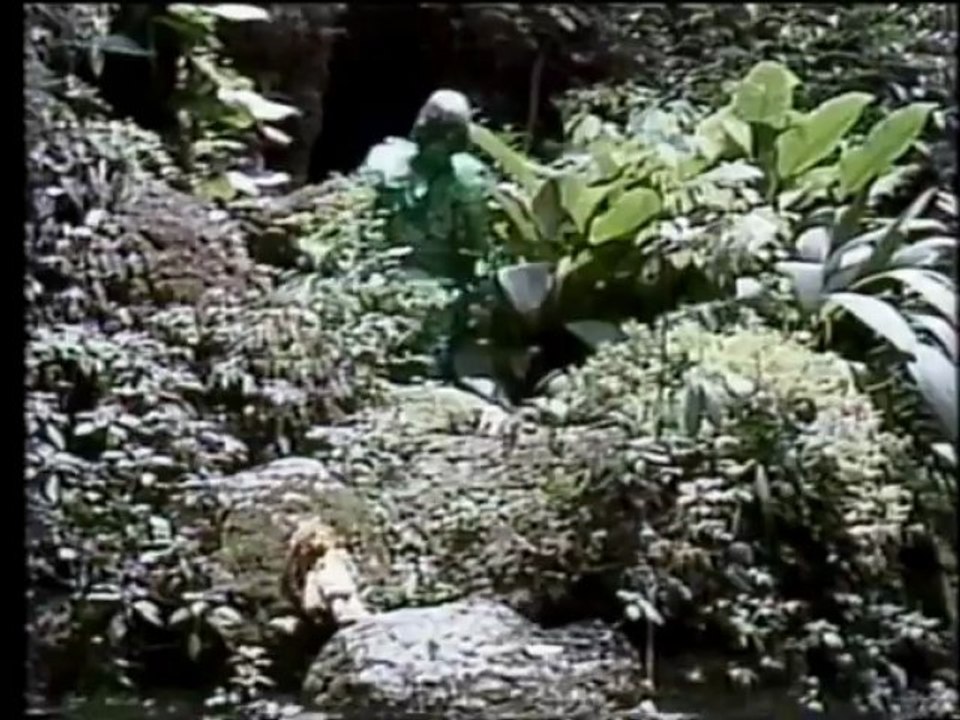 Narizinho Visita o Reino das Àguas Claras -1977