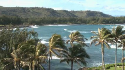 Philip Cottrell Spain_ Hawaiian sea and girls