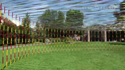 Zilvinas Kempinas: Slow Motion at Museum Tinguely, Basel