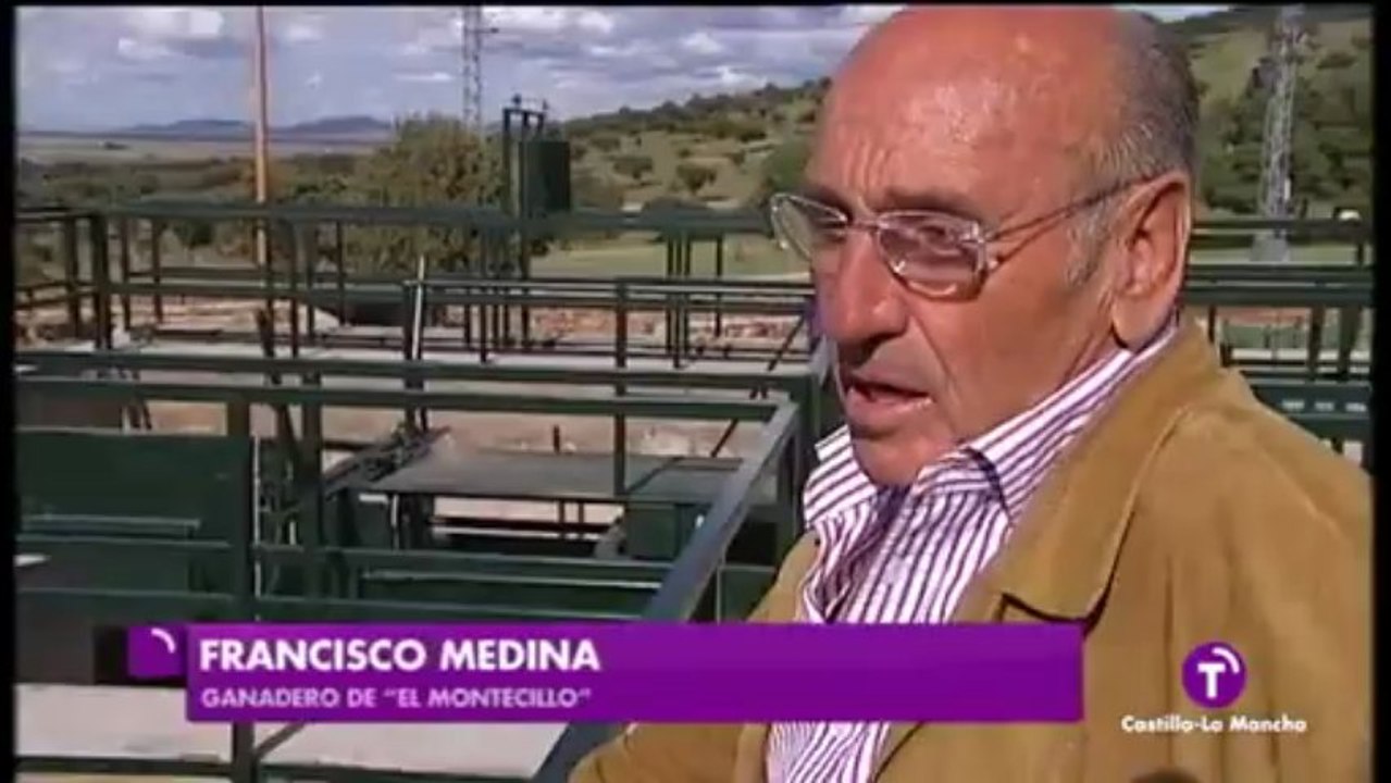 LOS TOROS 4-JULIO