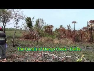 Property in Belize | The Canals at Mango Creek -904-321-9290