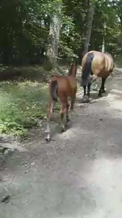 VID_20130701_145640