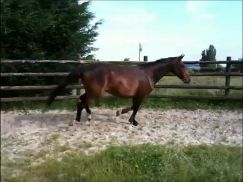 Vickers rond de longe barre