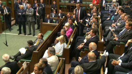 MP says millions in Britain want vote on Europe