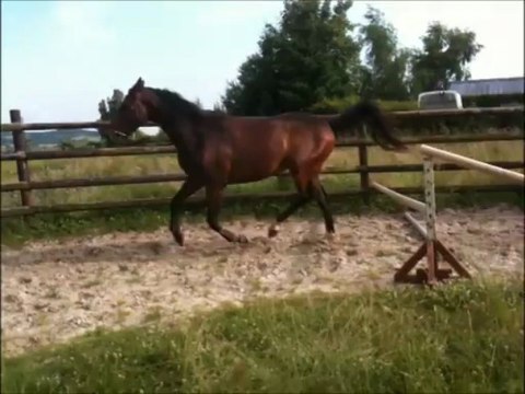 Vickers rond de longe barre