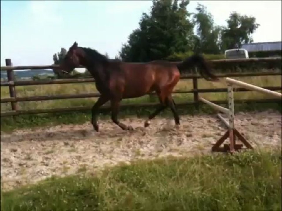 Vickers rond de longe barre