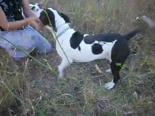 Hayden, rock, Guess et Eros le 30  juin 2013 n° 3