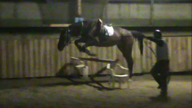 Vickers débourrage saut longe