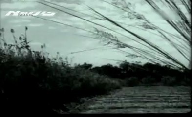 Pipara Ke Patwa Sarikhe Dole Manva - 1963 Hindi Song