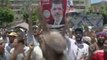 Egypte : les pro-Morsi manifestent au Caire