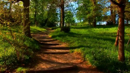 Découvrez le domaine de la Garenne Lemot !